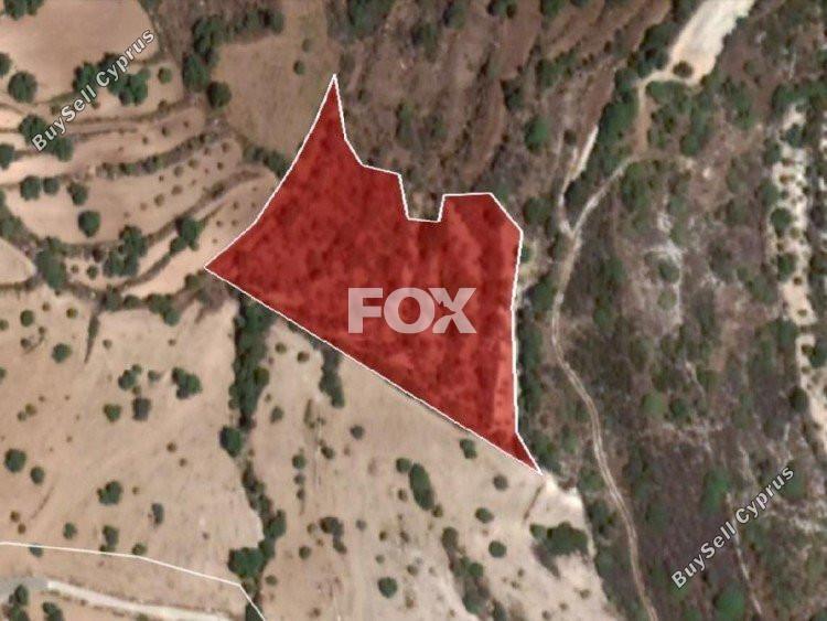plot for sale koili paphos 1159108 image 17072083