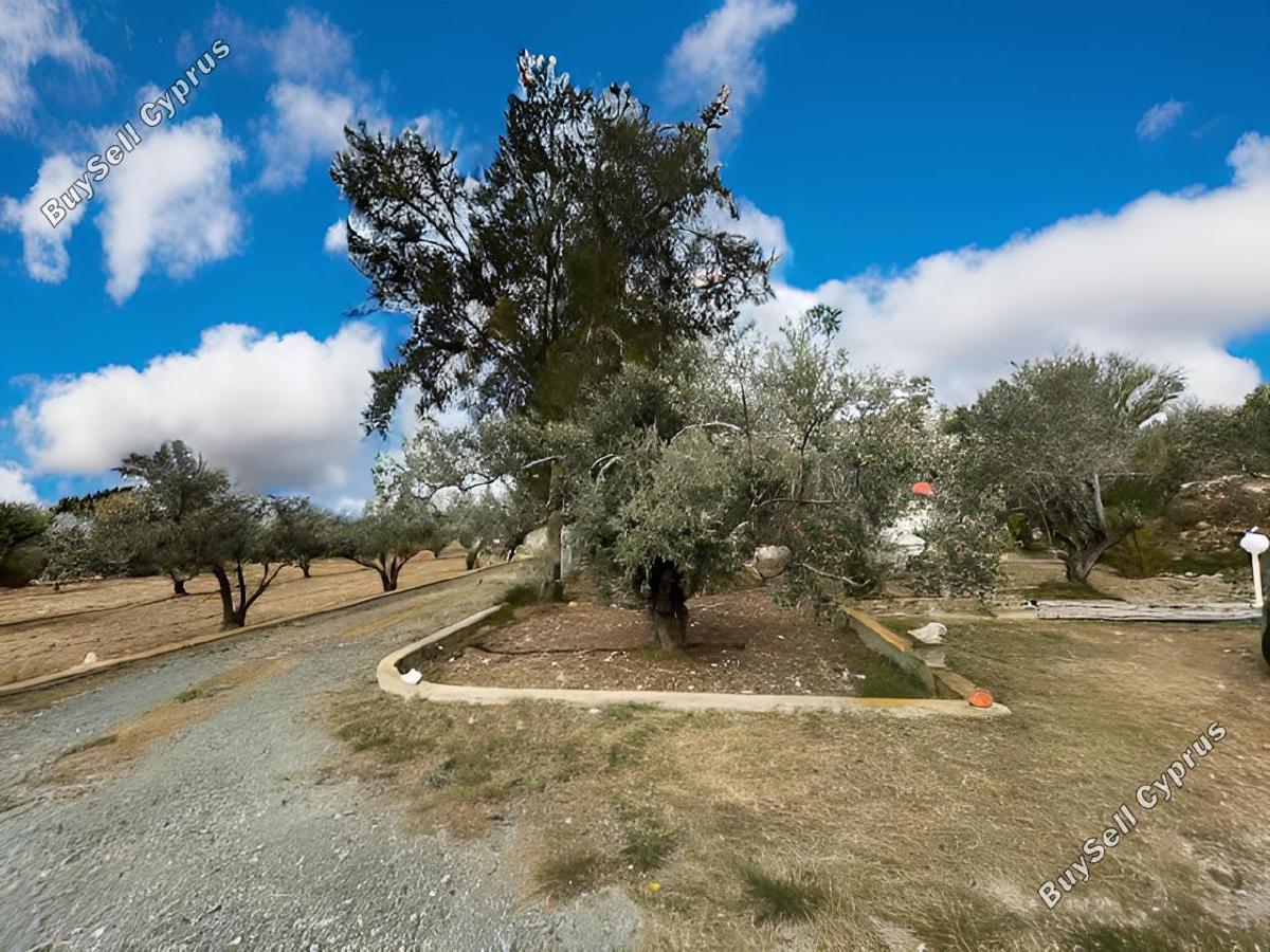 4 bedroom detached house for sale agios theodoros larnacas larnaca 1774208 image 13142467