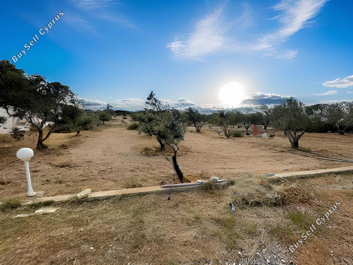 4 bedroom detached house for sale agios theodoros larnacas larnaca 1774208 image 13142468