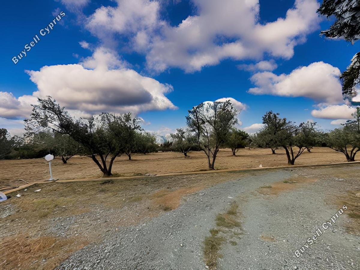4 bedroom detached house for sale agios theodoros larnacas larnaca 1774208 image 13142469