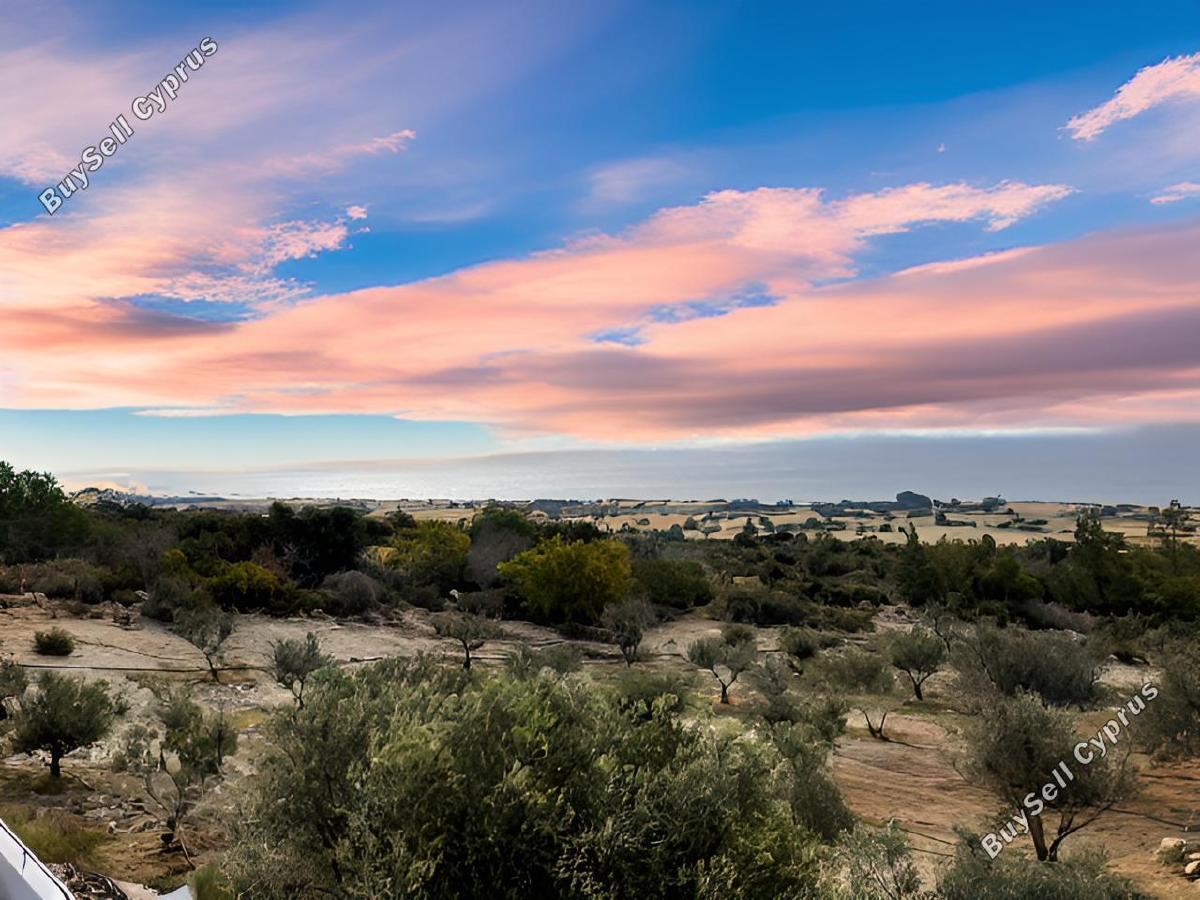 4 bedroom detached house for sale agios theodoros larnacas larnaca 1774208 image 13142474