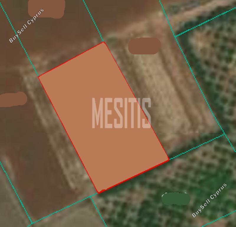 land for sale akaki nicosia 975208 image 12815633