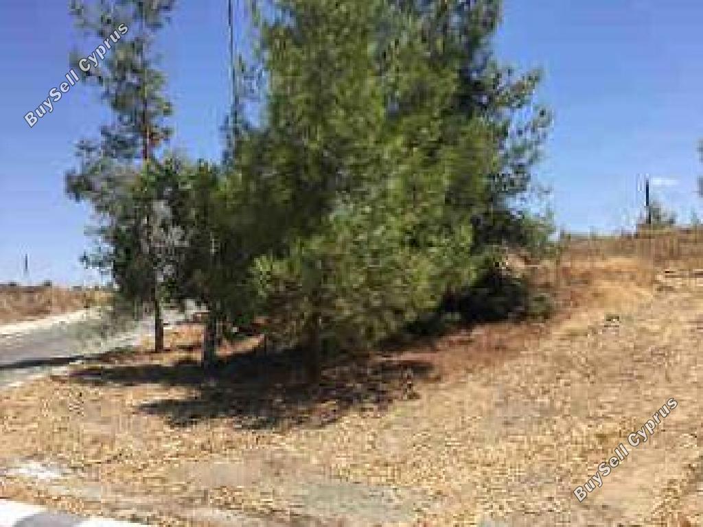 land for sale mitsero nicosia 946208 image 15602788