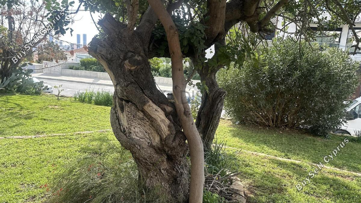 4 bedroom detached house for sale agios athanasios limassol 8209408 image 13703054