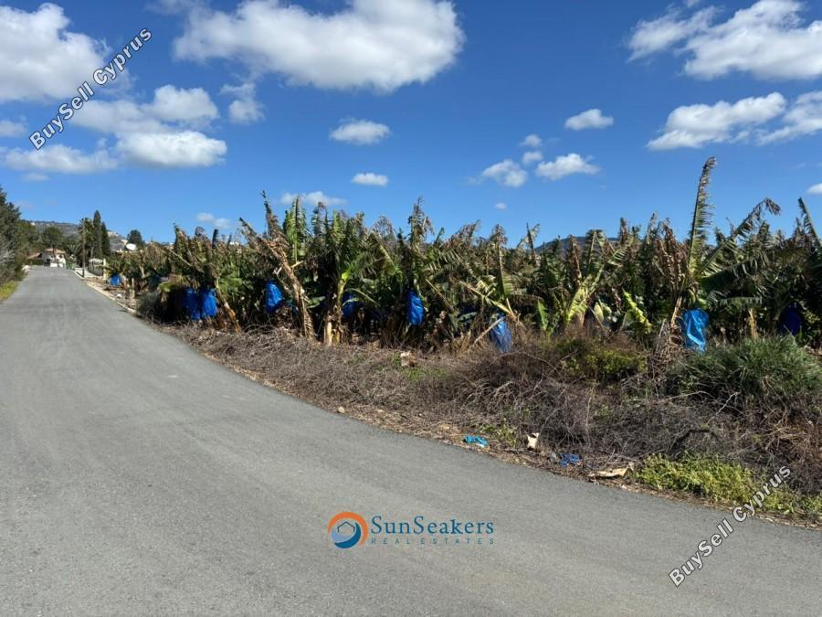 land for sale peyia paphos 8529408 image 15454303