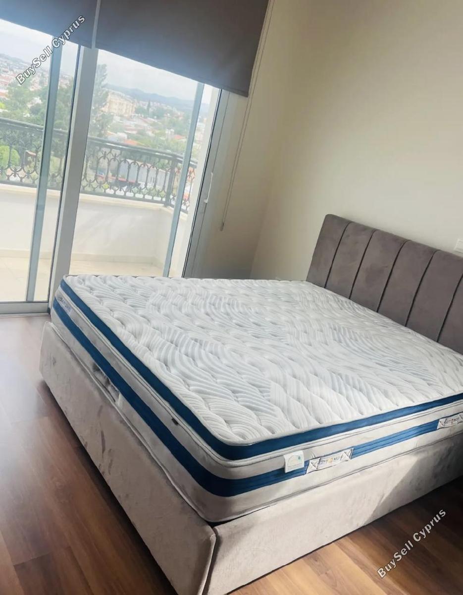 2 bedroom apartment for rent kato polemidia limassol 8670508 image 16032179