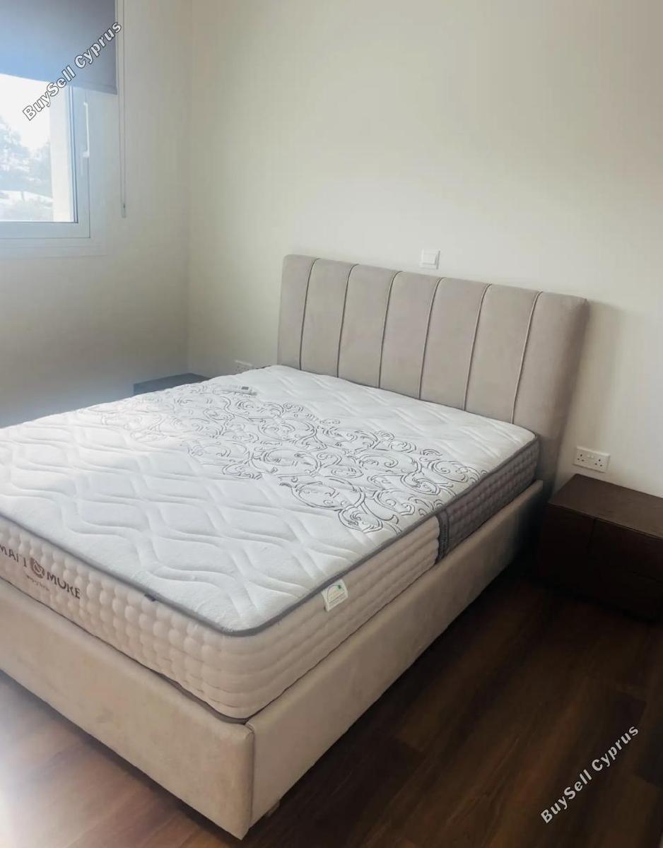 2 bedroom apartment for rent kato polemidia limassol 8670508 image 16032185
