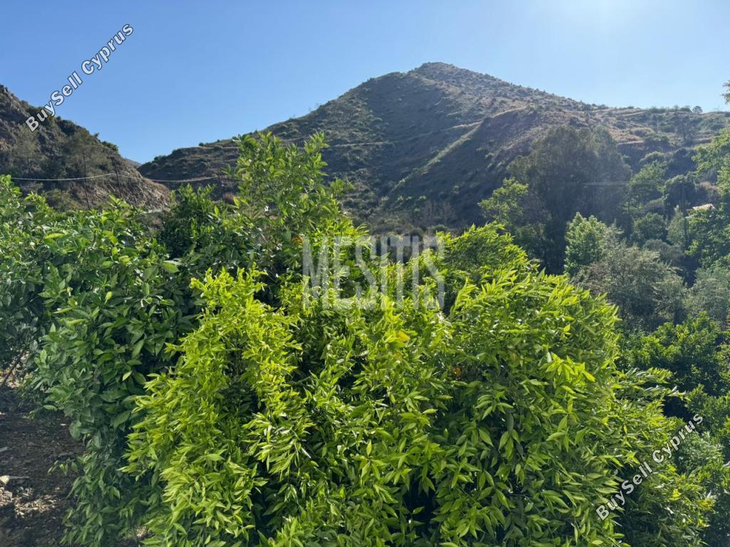 2 bedroom detached house for sale arakapas limassol 7838508 image 14523210