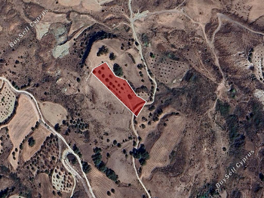 land for sale fyti paphos 1835508 image 15597231