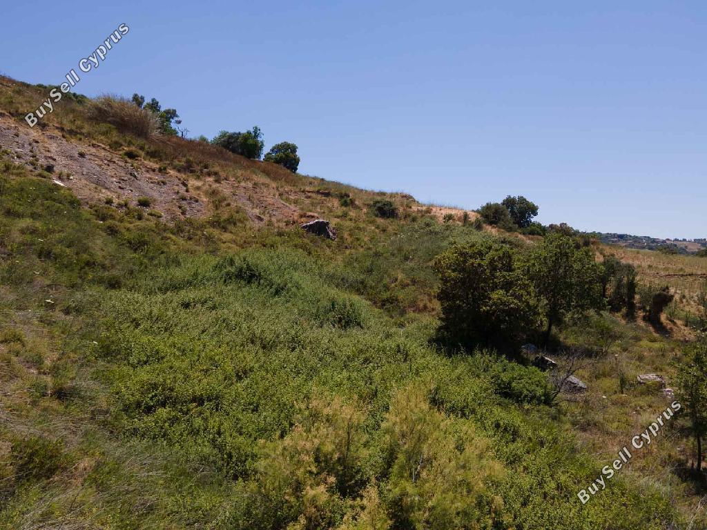 land for sale fyti paphos 1835508 image 15597233
