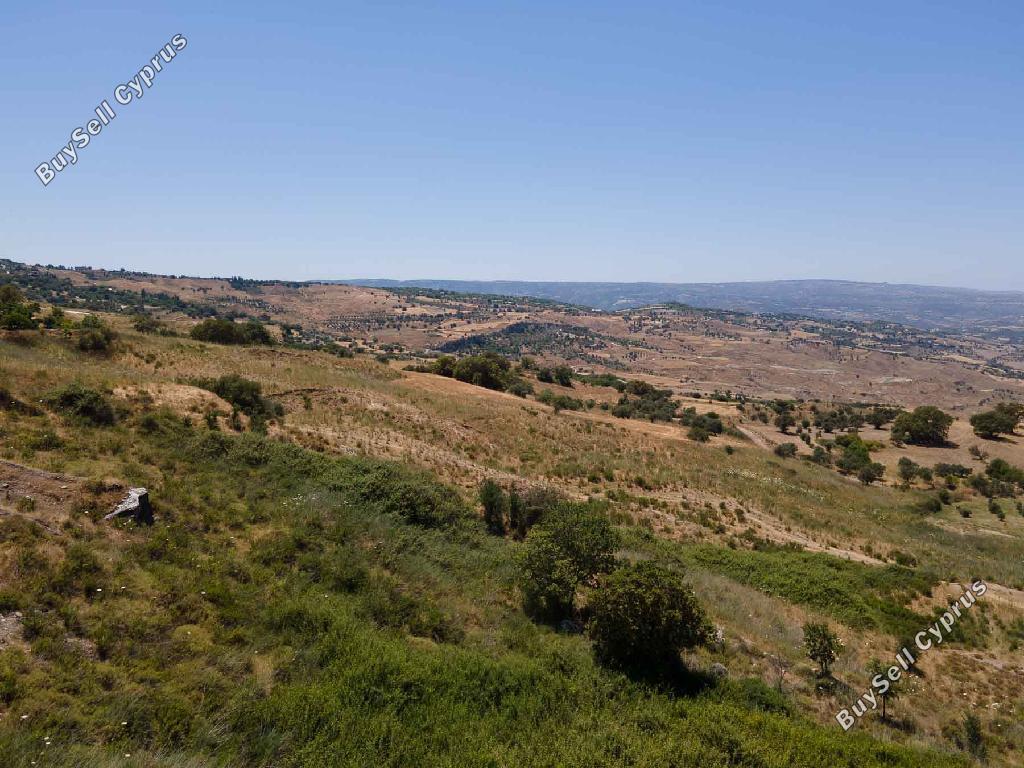 land for sale fyti paphos 1835508 image 15597235