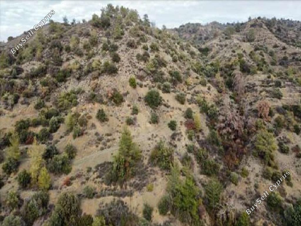 land for sale kapileio limassol 7805508 image 17869488