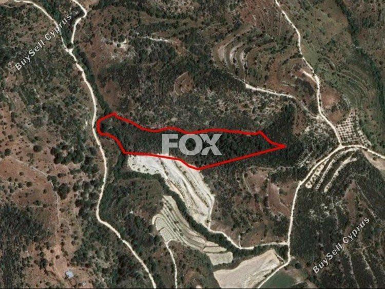 land for sale mousere paphos 1159508 image 5524997