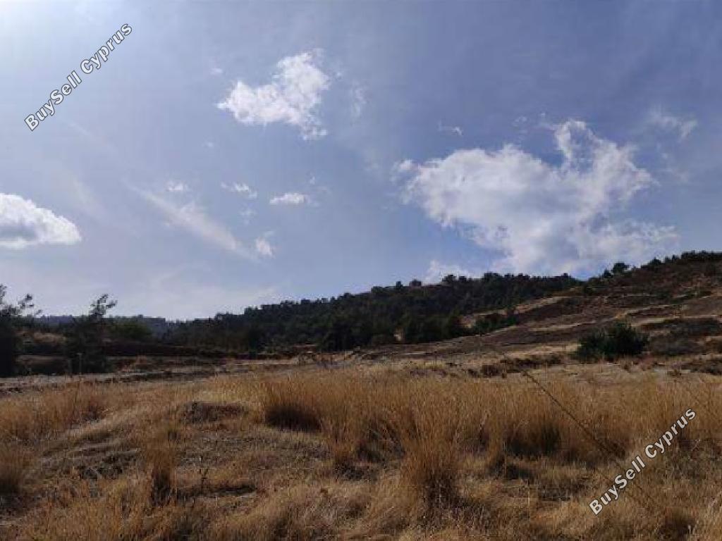 land for sale pano pyrgos nicosia 1145608 image 15601869