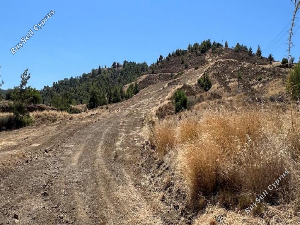 land for sale pano pyrgos nicosia 1145608 image 15601870