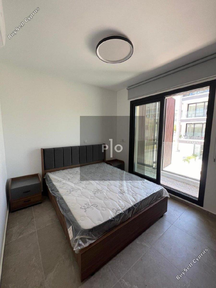 2 bedroom apartment for rent livadia larnacas larnaca 8355708 image 15197792