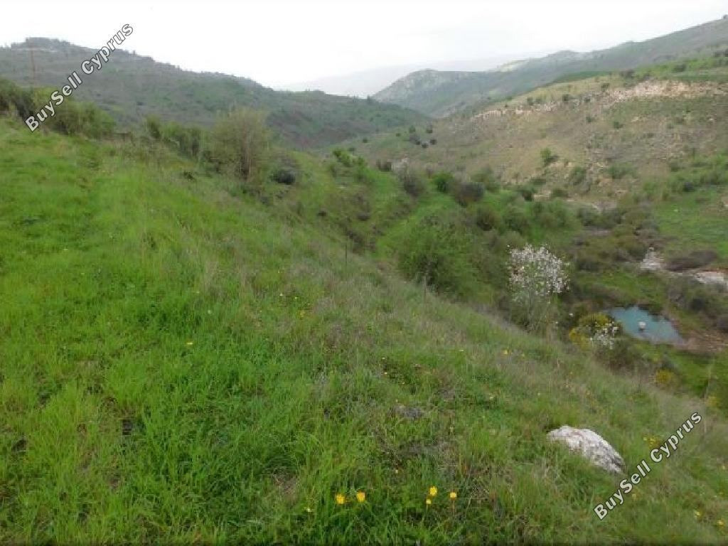land for sale pentalia paphos 945708 image 15600212