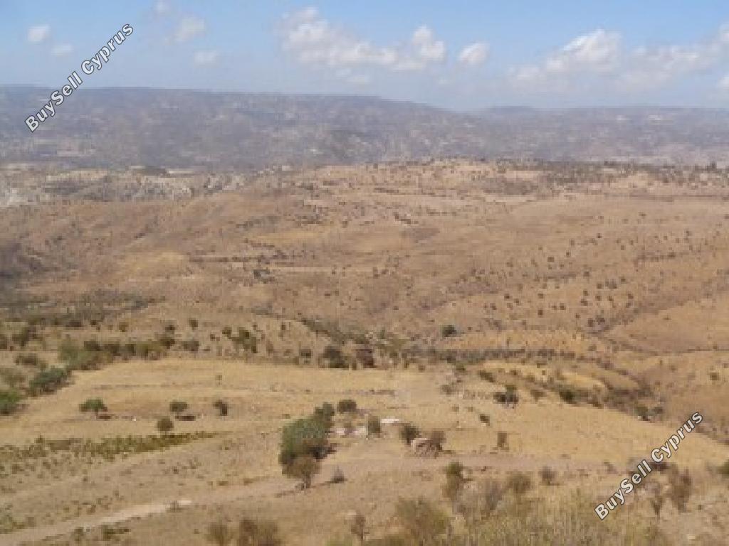 land for sale pentalia paphos 945708 image 17102951