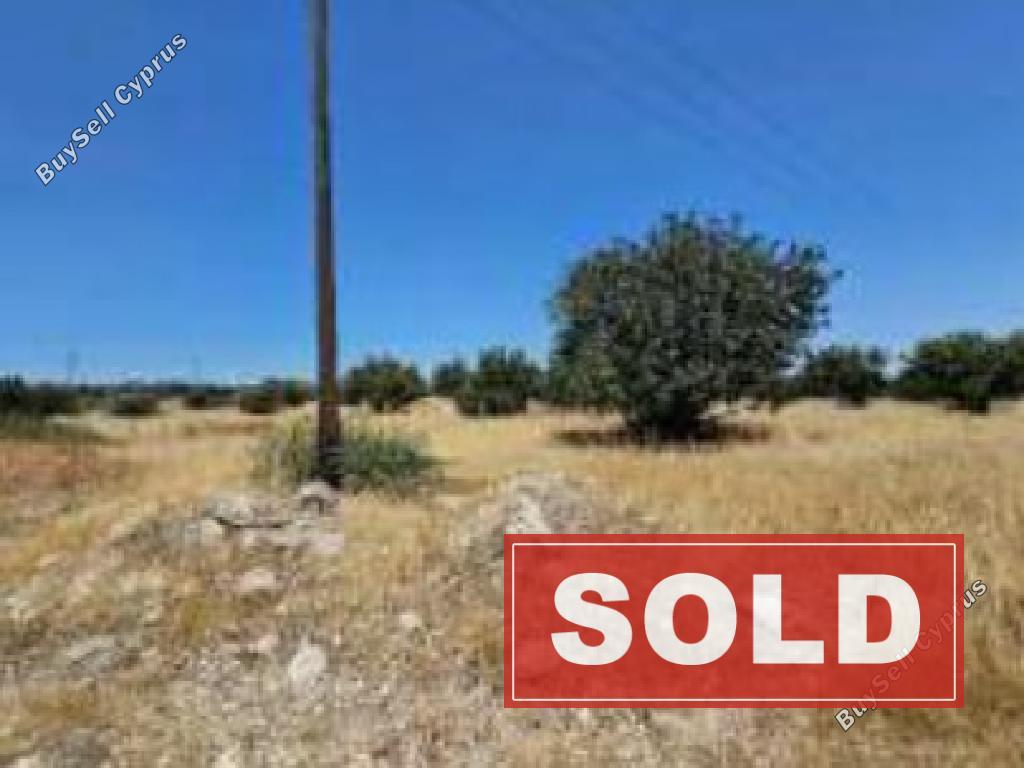 land sold choirokoitia larnaca 1829708 image 6445884