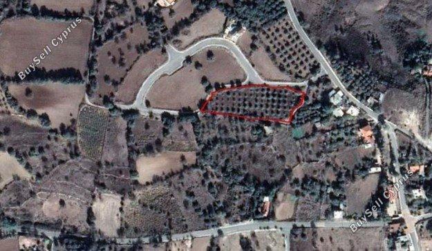4683 SQM Plot for sale in Lasa, Paphos 10077029