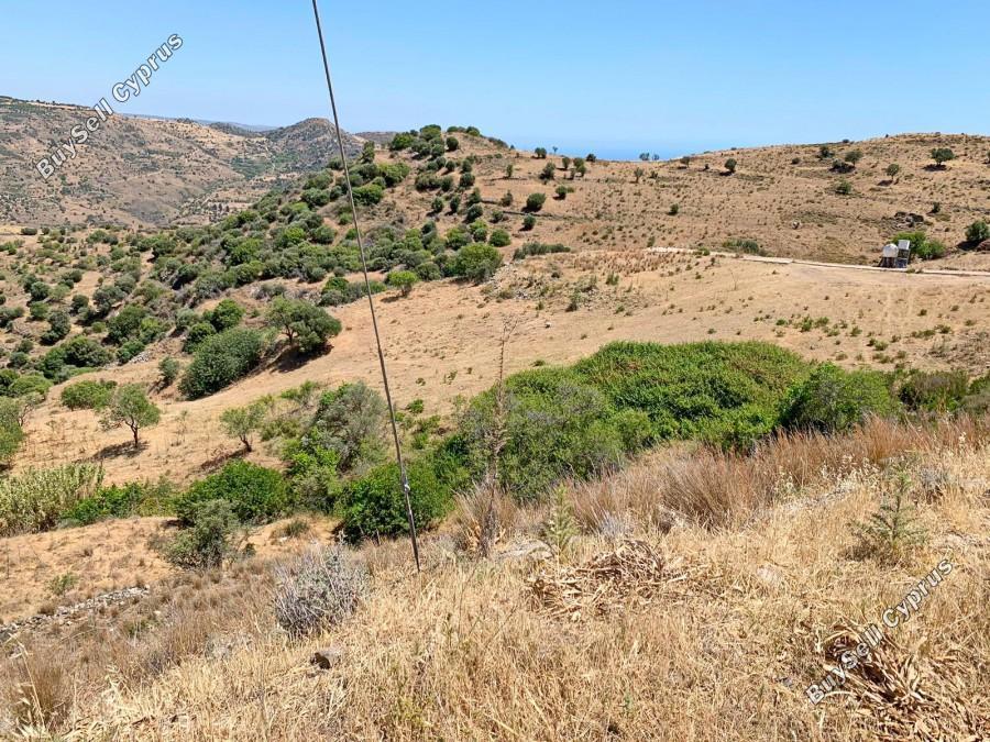2900 SQM Land for sale in Episkopi Pafou, Paphos 15734098