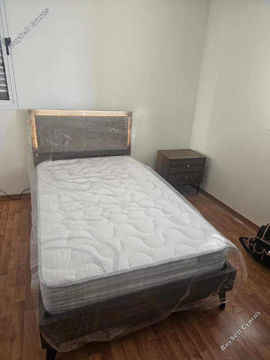2 bedroom apartment for rent petrou kai pavlou limassol 8669808 image 16014529