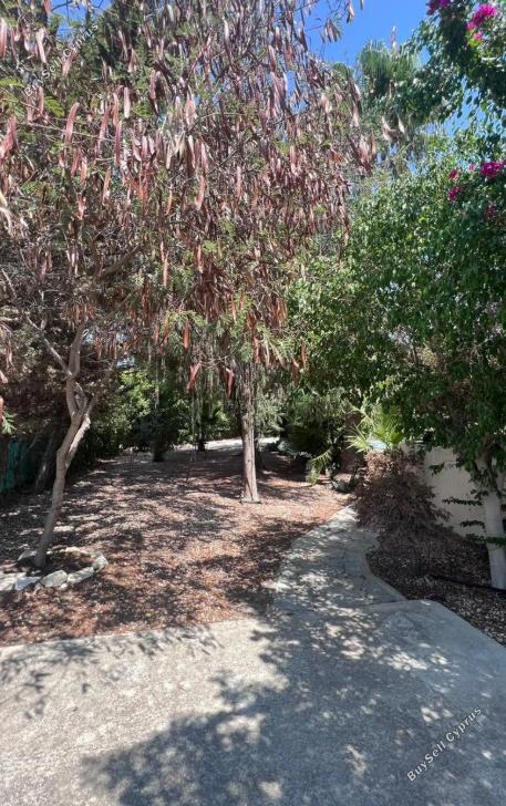 4 bedroom detached house for sale parekklisia limassol 8085808 image 14558909