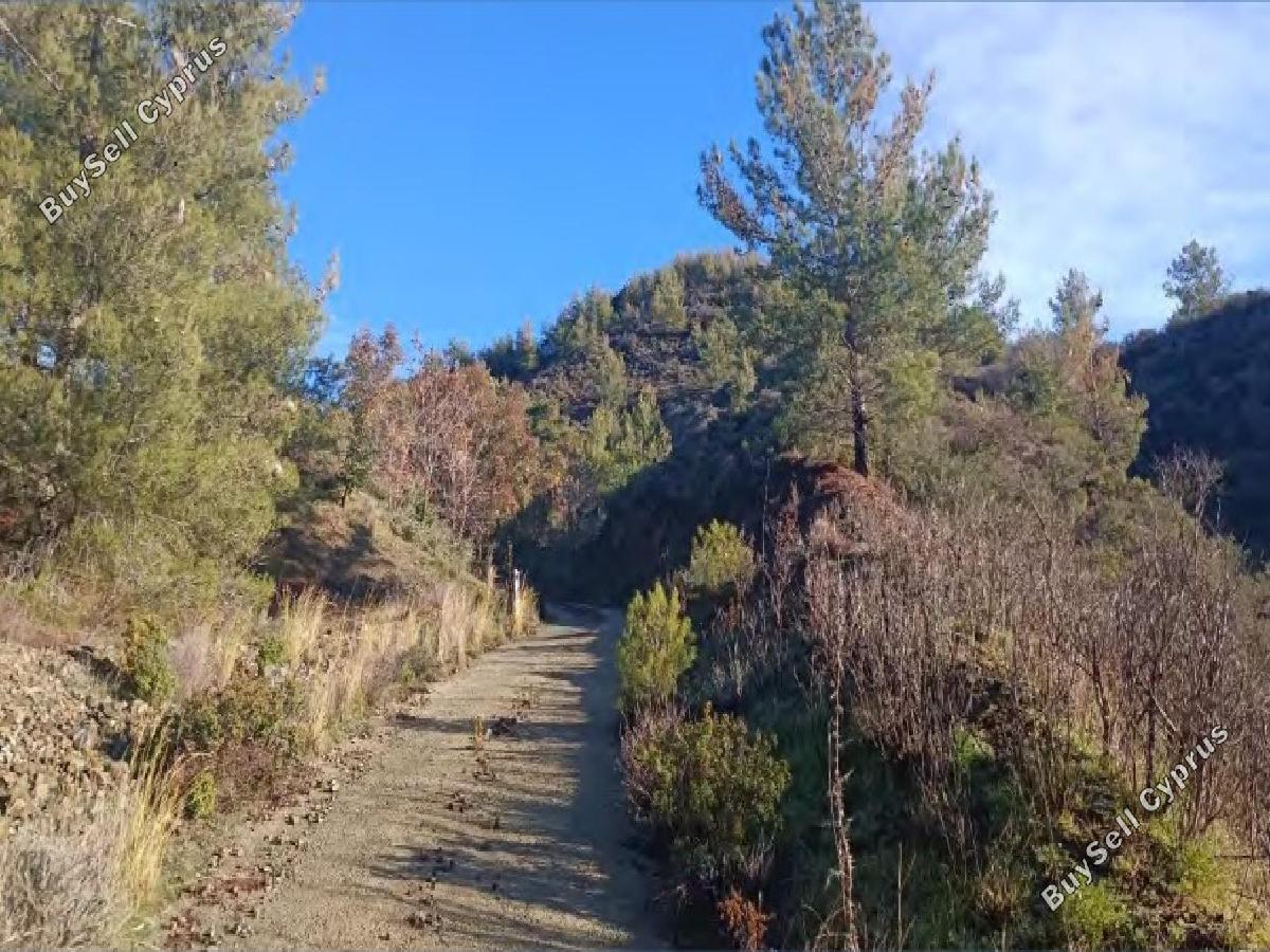 land for sale kato platres limassol 8797808 image 16705060