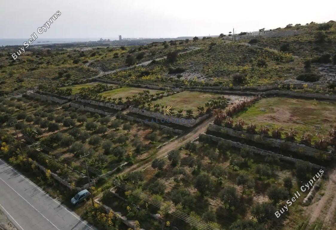 land for sale maroni larnaca 8244808 image 13844543