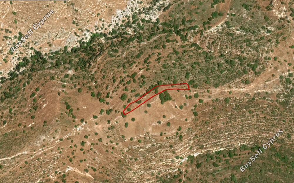 land for sale peyia paphos 890808 image 2808454