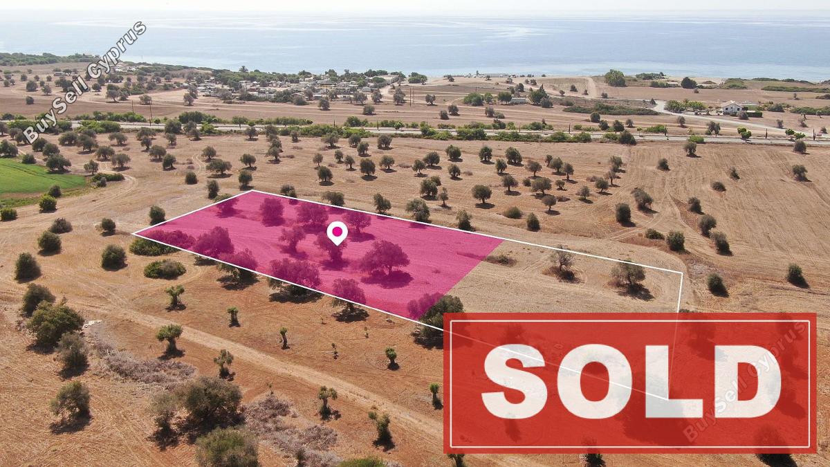 land sold mazotos larnaca 1171808 image 3555064
