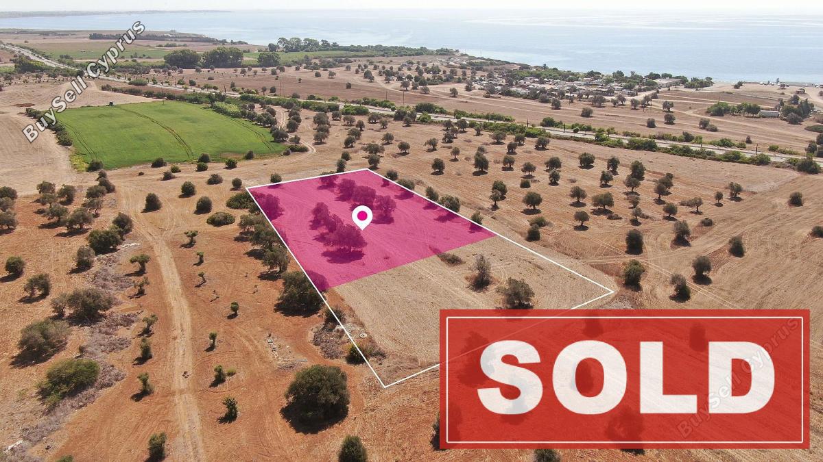 land sold mazotos larnaca 1171808 image 3555065