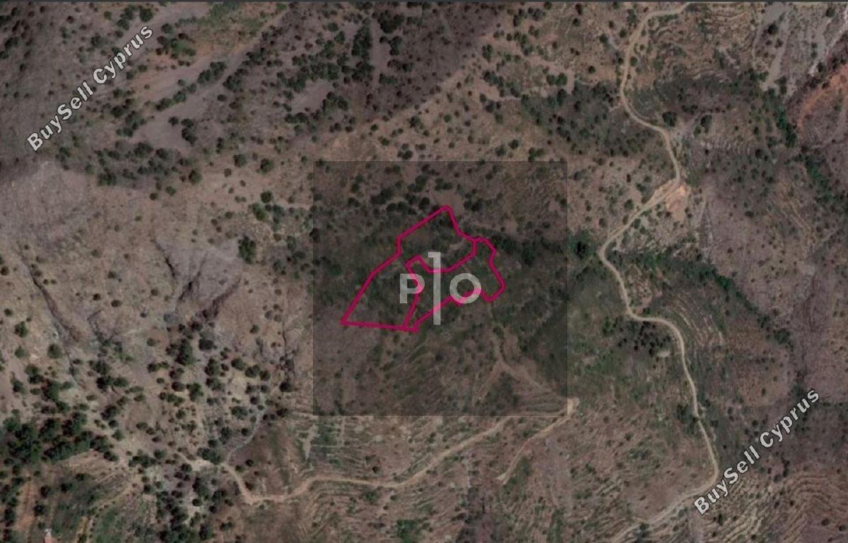 land for sale askas nicosia 8274908 image 15156265