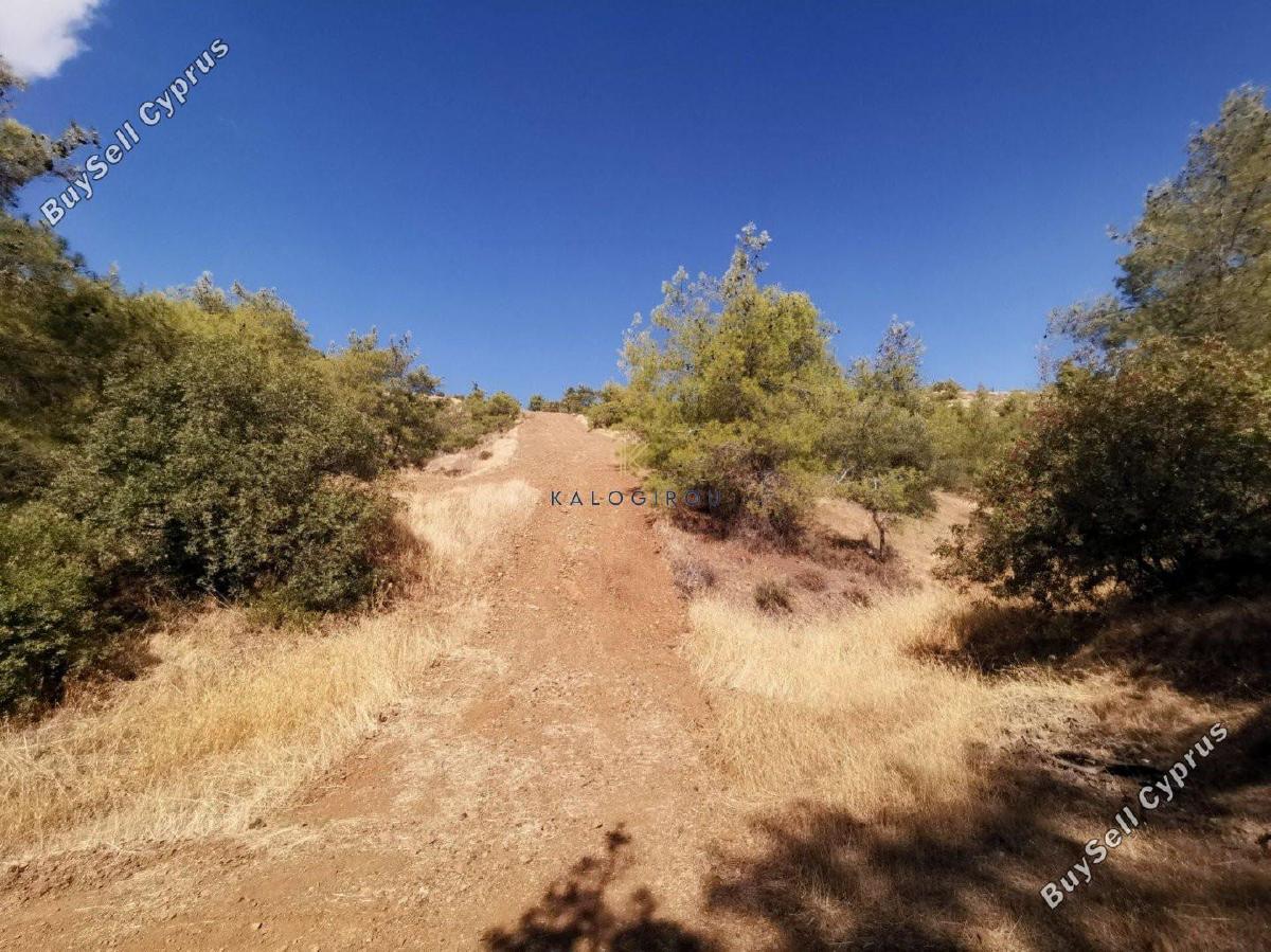 plot for sale agios theodoros soleas nicosia 1195018 image 5574341