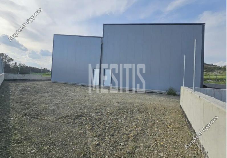 studio warehouse for rent alampra nicosia 8864118 image 17181550