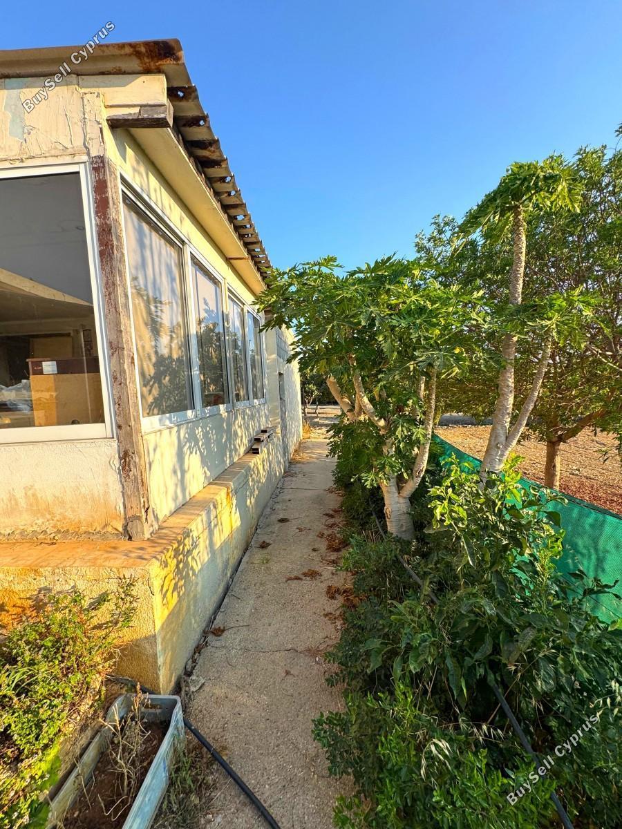 3 bedroom bungalow for sale chlorakas paphos 8395218 image 14817521