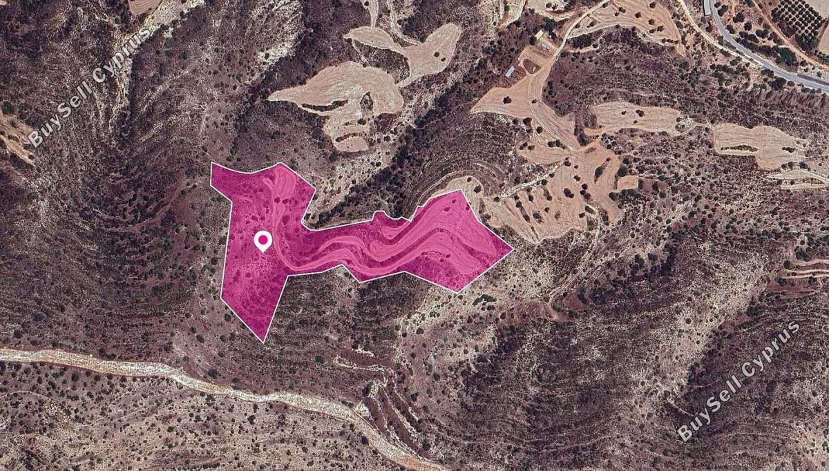24201 SQM Land for sale in Agios Theodoros Larnacas, Larnaca 15867288