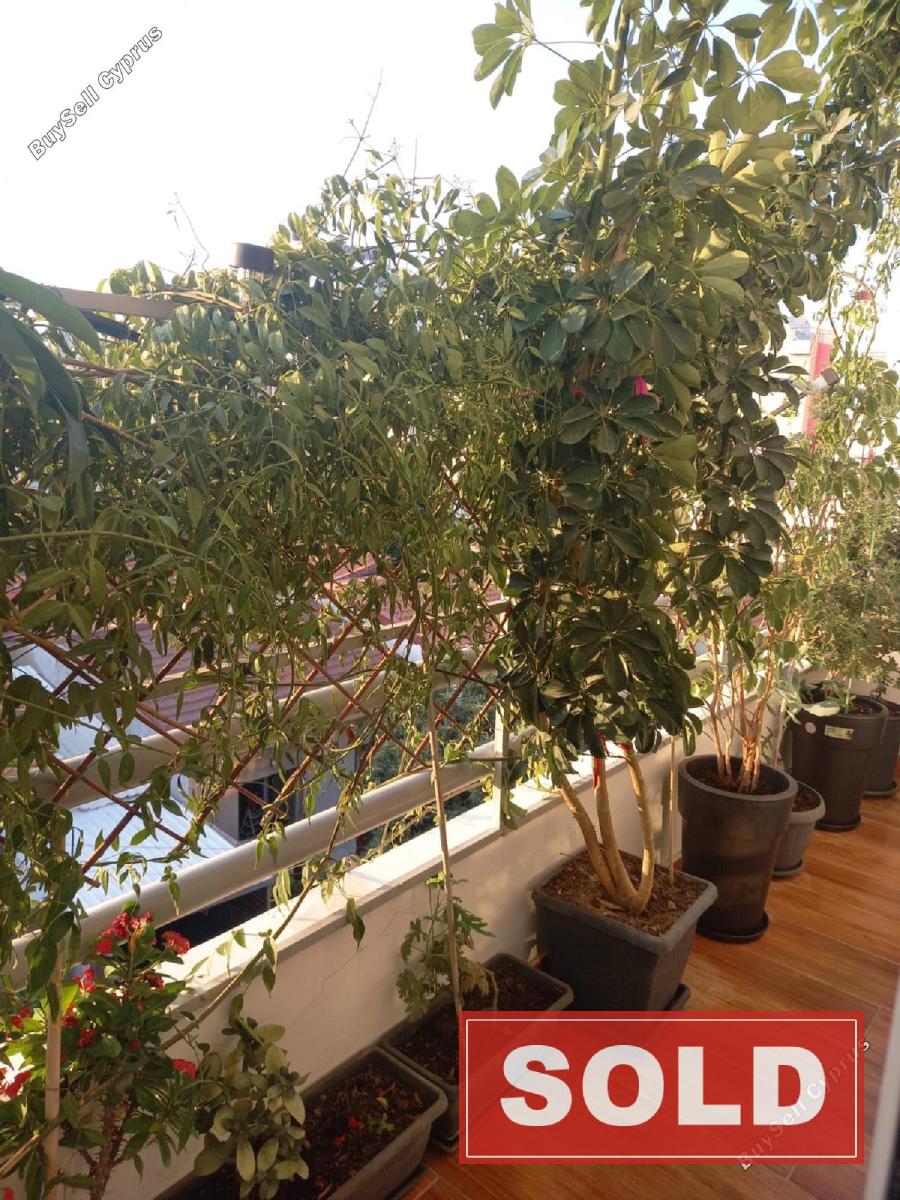 2 bedroom apartment sold agia zoni limassol 1595318 image 4013587