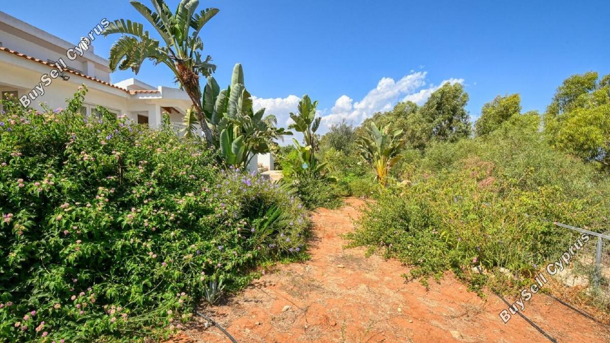 6 bedroom detached house for sale protaras famagusta 1236418 image 5597340
