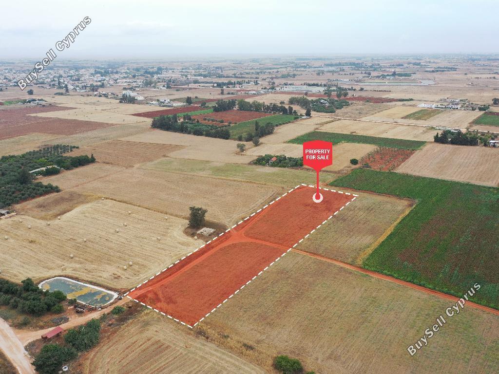 land for sale avgorou famagusta 1054418 image 16512122