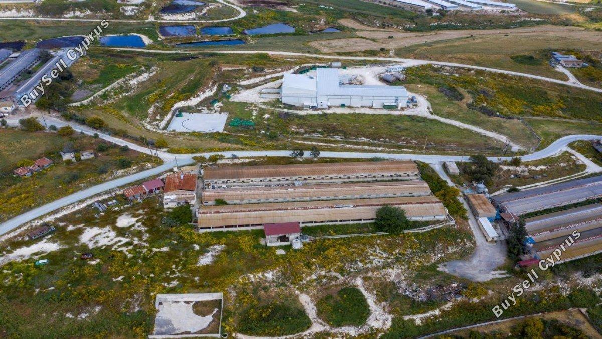 studio warehouse for sale aradippou larnaca 8180418 image 16187891