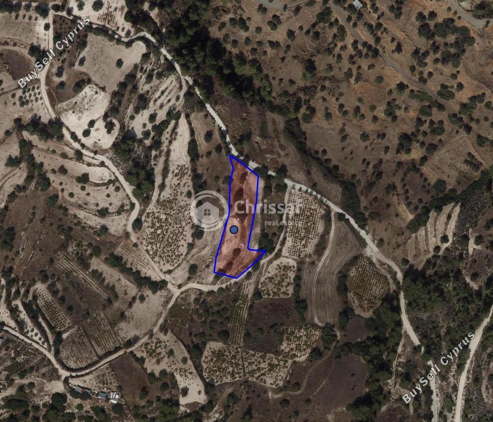 6979 SQM Land for sale in Gerasa, Limassol 13097042