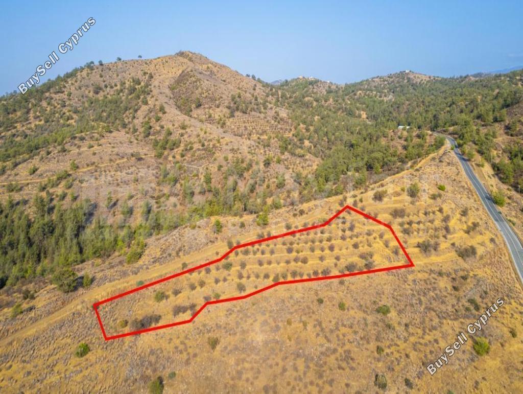 4014 SQM Plot for sale in Agia Marina Xyliatou, Nicosia 15357352