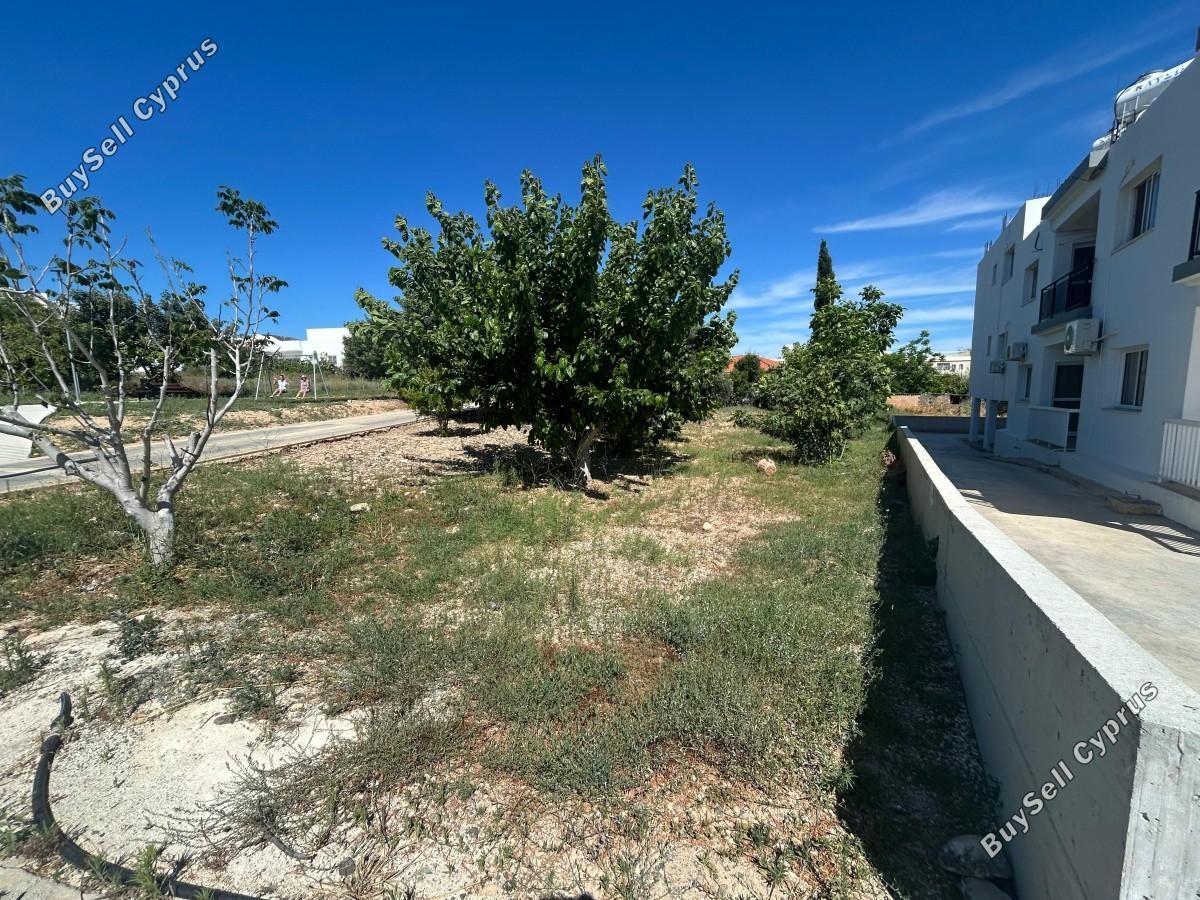 2 bedroom apartment for sale mesogi paphos 8765518 image 16563070