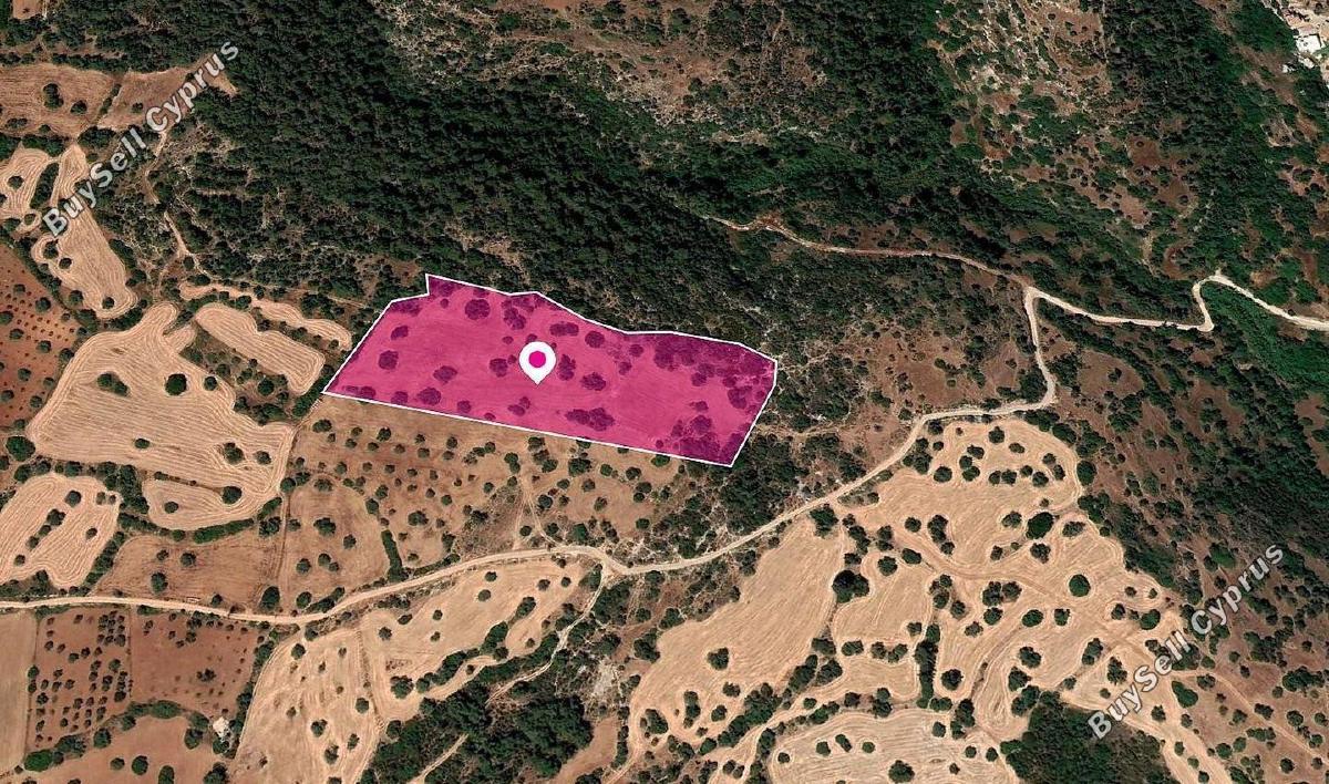 land for sale neo chorio paphos 1897518 image 14206042