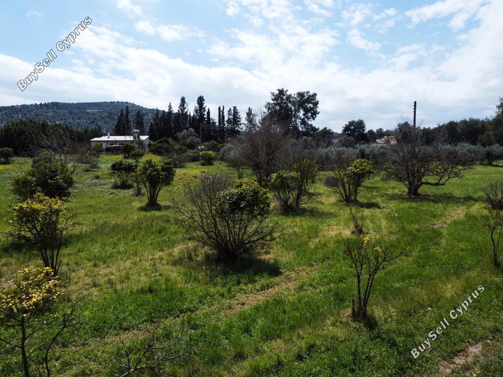 land for sale psevdas larnaca 826518 image 15603561