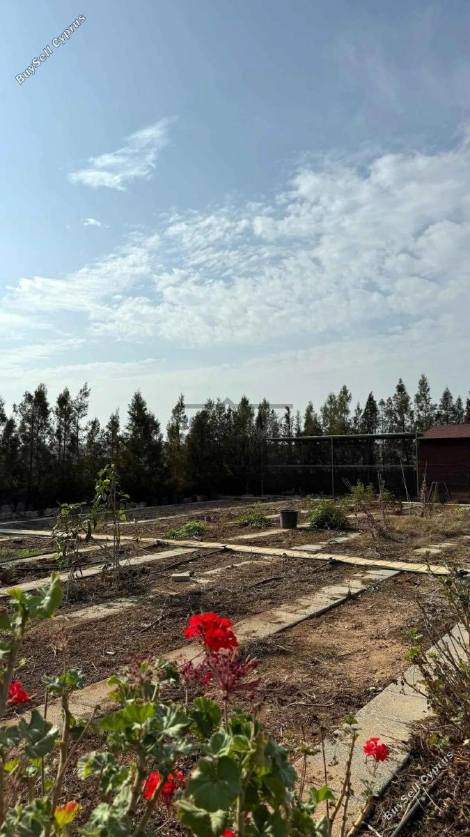 7 bedroom detached house for sale agioi trimithias nicosia 8742618 image 16405787