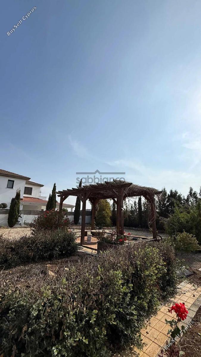 7 bedroom detached house for sale agioi trimithias nicosia 8742618 image 16405790