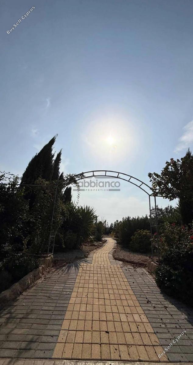 7 bedroom detached house for sale agioi trimithias nicosia 8742618 image 16405792