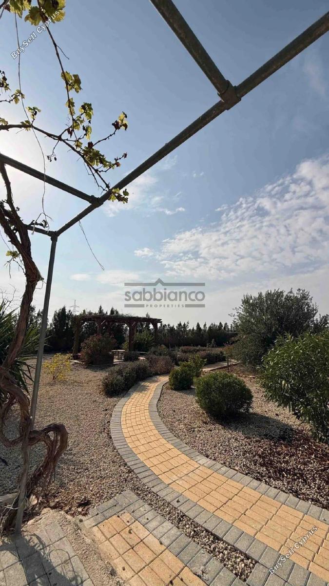 7 bedroom detached house for sale agioi trimithias nicosia 8742618 image 16405794